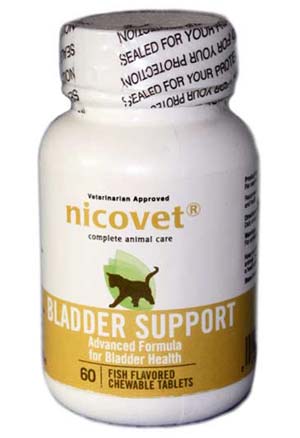 Bladder Support - Kombination pflanzlicher Extrakte zur hilfreichen Unterstützung der Blasenfunktion
